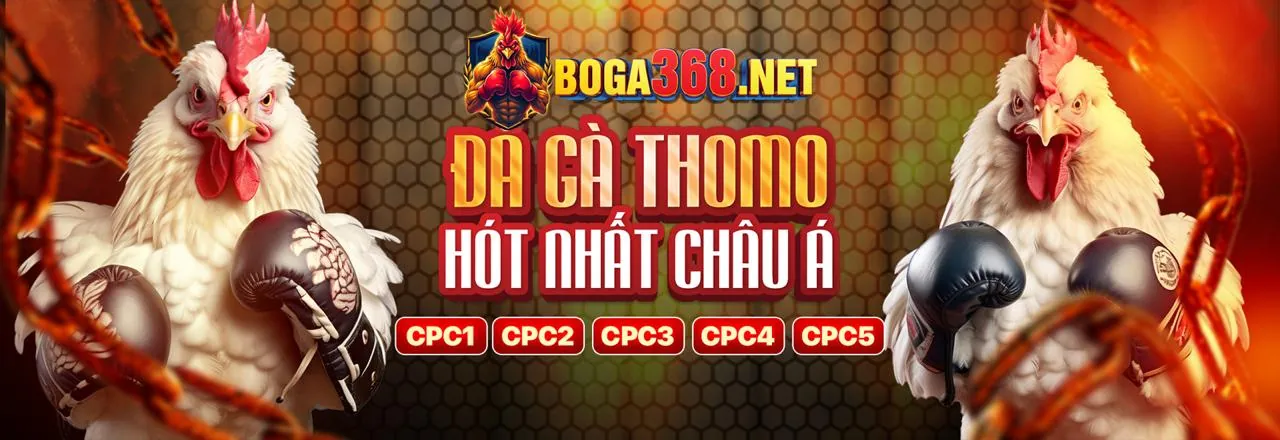 Hình ảnh giới thiệu các chương trình khuyến mãi cbvip